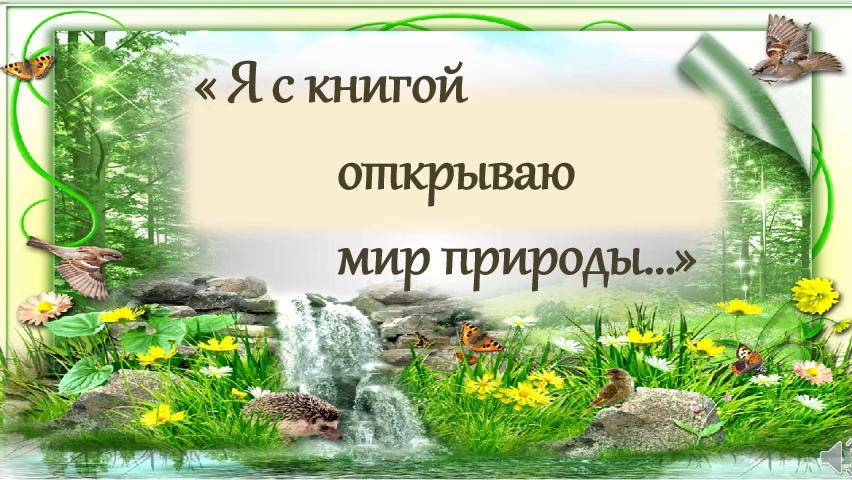 Проект открывая книгу открываем мир Новости